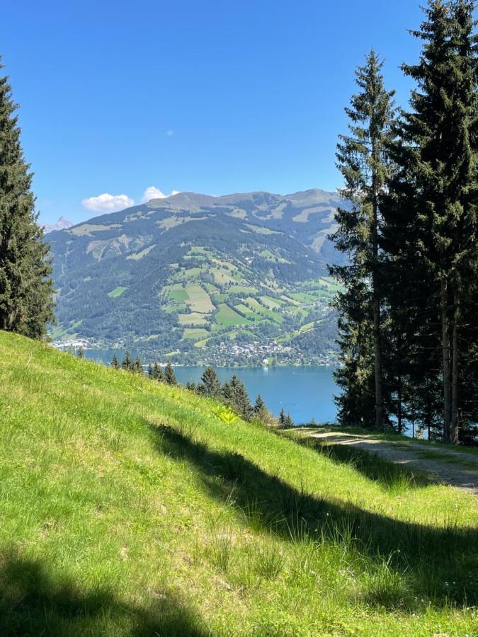 Schwaiger Appartements Zell am See Bagian luar foto